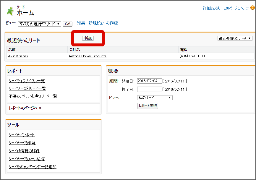 ../../_images/sfdc_click_new_lead.png