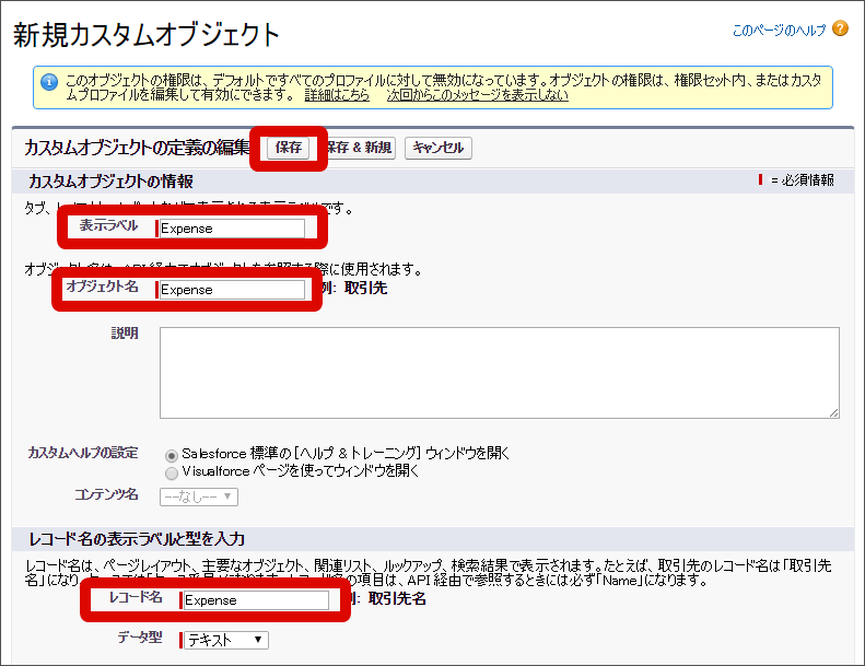 ../../_images/sfdc_new_custom_object.png