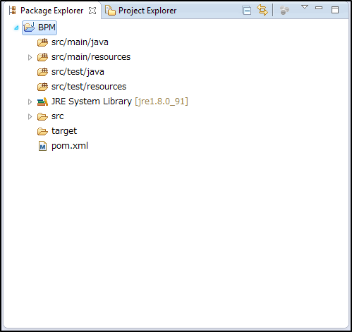 ../../_images/bpm_project_04.png